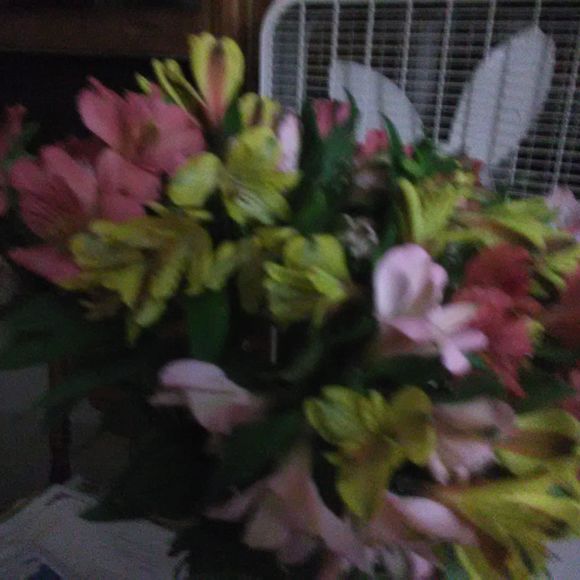 Meet your Posher, Laura - Picture 1 of 1